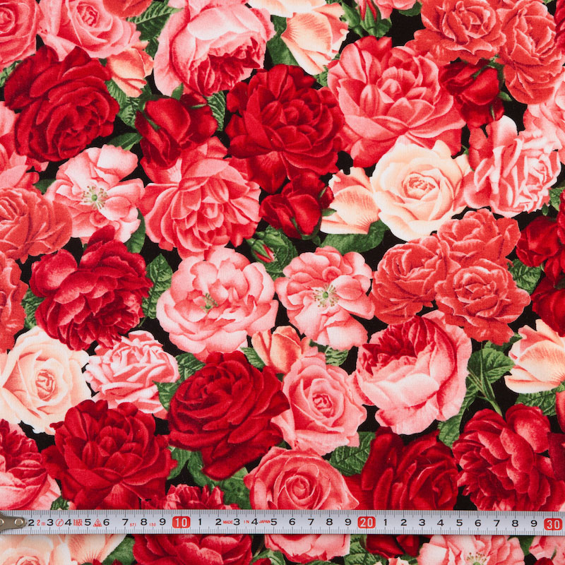 Fairy Cotton / 赤とピンクのバラ オールオーバー