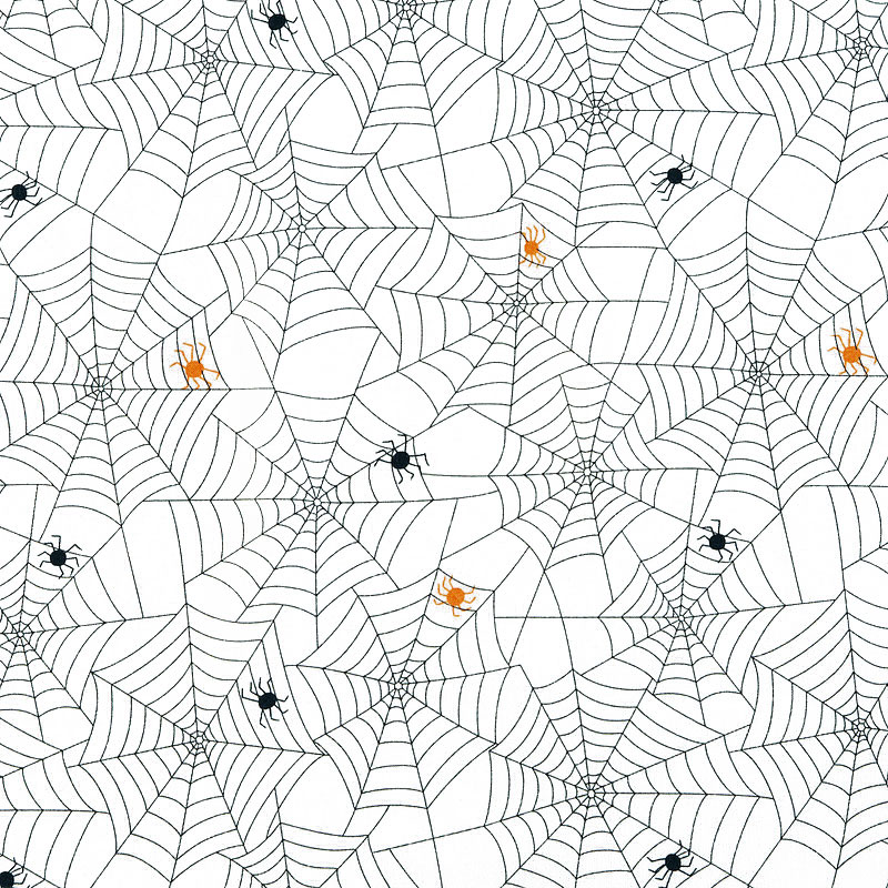ハロウィン 蜘蛛と蜘蛛の巣
