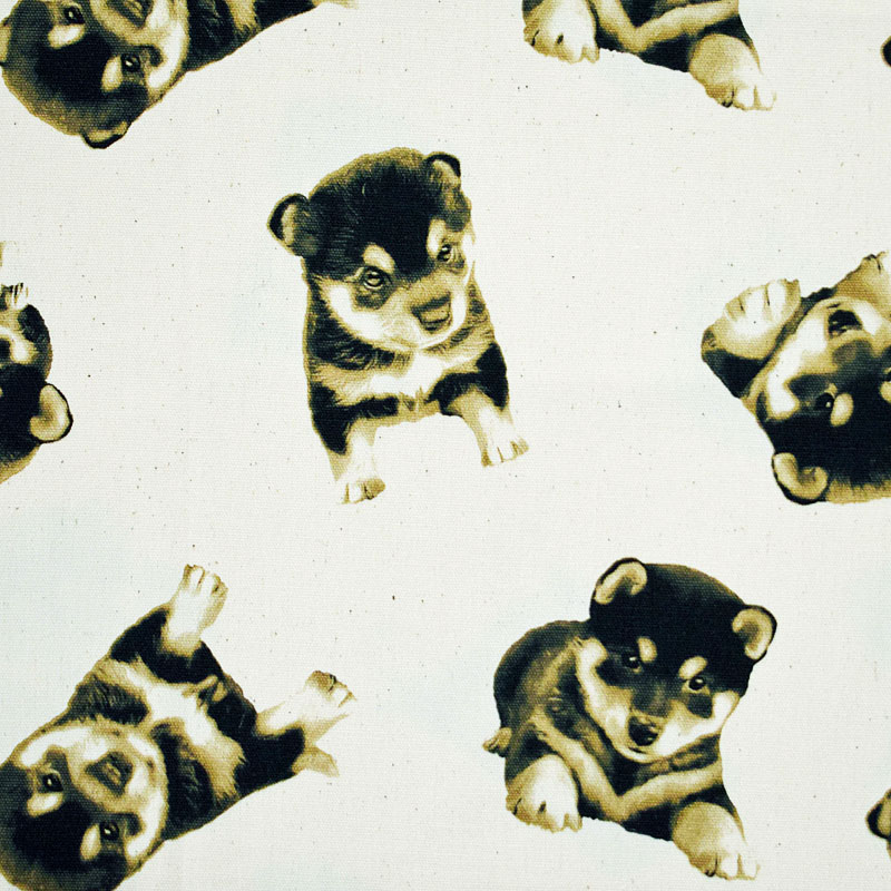 黒柴の子犬 生成り オックスフォード